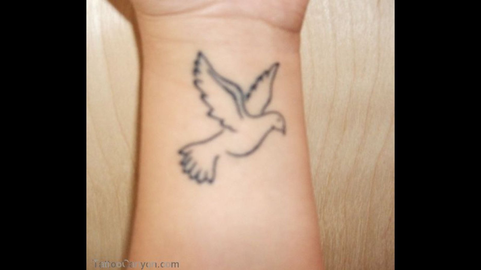 Dove Tattoos 101