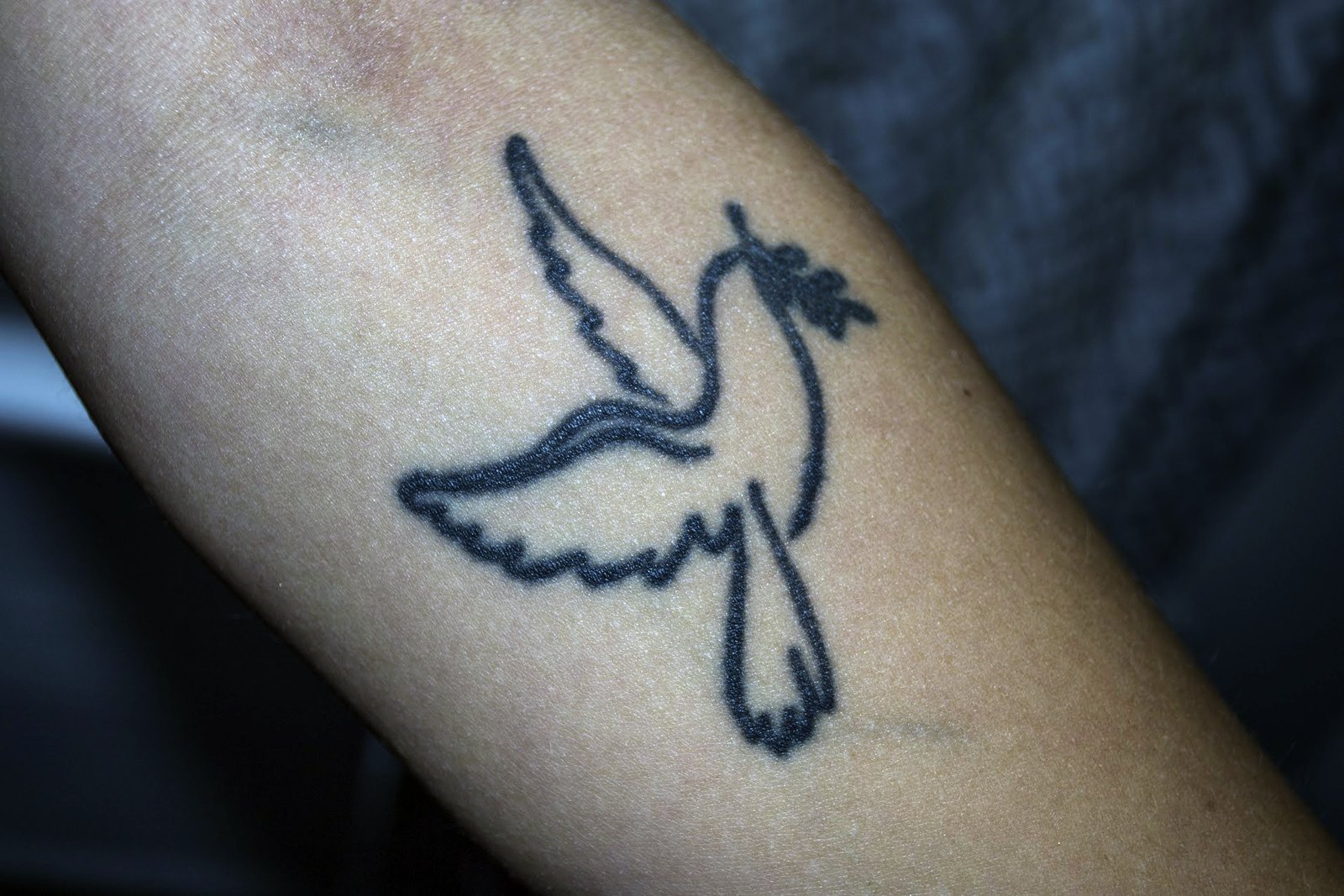 Dove Tattoos 102