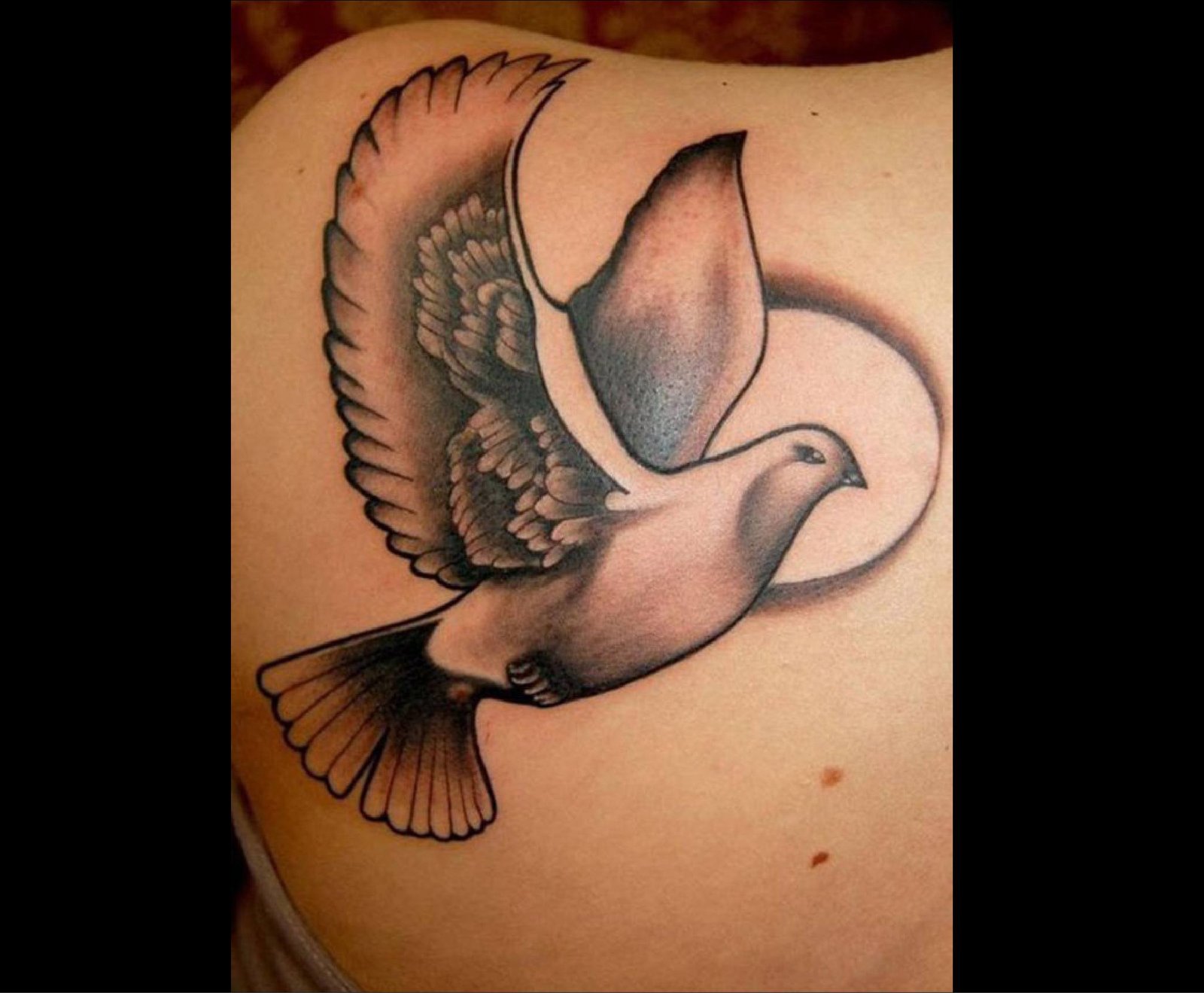 Dove Tattoos 108